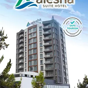 Alesha Hotel